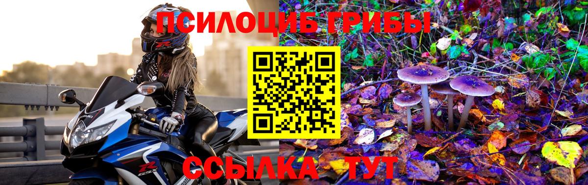 Псилоцибиновые грибы GOLDEN TEACHER Заволжье