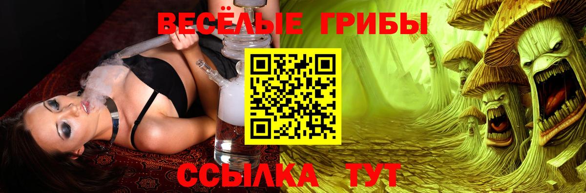 Заволжье  Галлюциногенные грибы мицелий  Вход с VPN  Галлюциногенные грибы MAGIC MUSHROOMS 